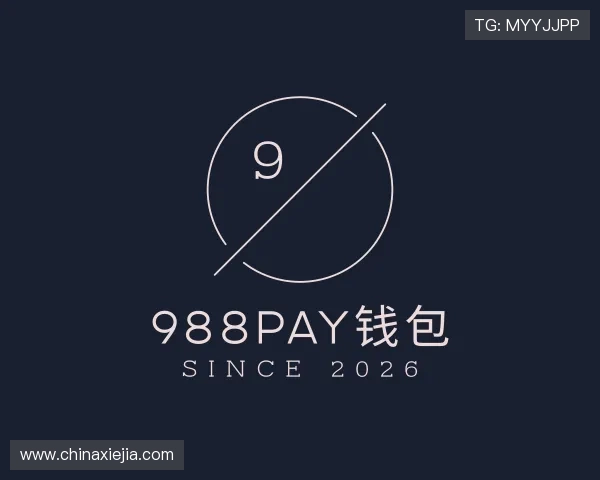 介绍988PAY钱包